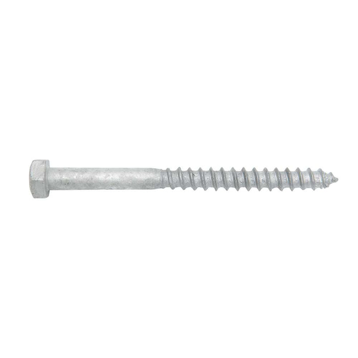 Coach Screw Galv M8 x 100