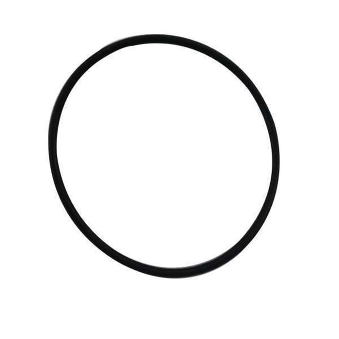 Inox O-Ring