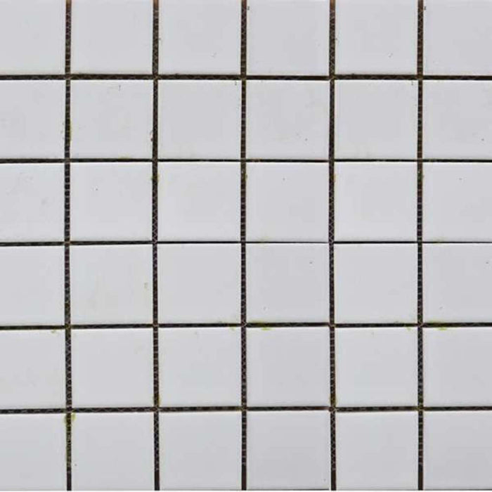 Cera Mosaic Tile 300x300 #4801 Ceramic White (22pc/2sqm Ctn)