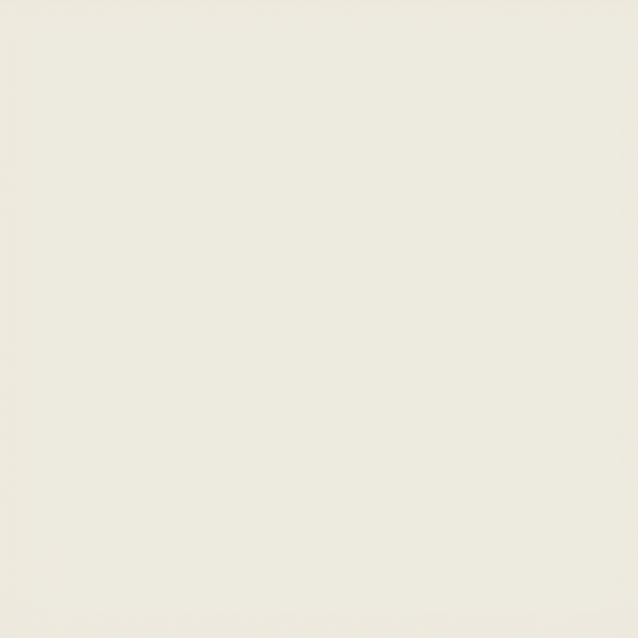 Lexico 600 x 600 #Ivory Plain Soluble Salt Polish Tiles (4pc/1.44sqm Ctn)