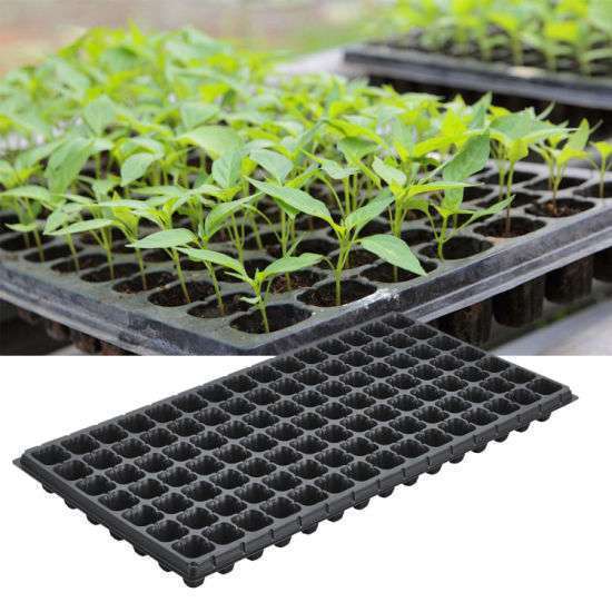 Seedling Tray 105 Cells (7 x 15) 540 x 280 x 40mm