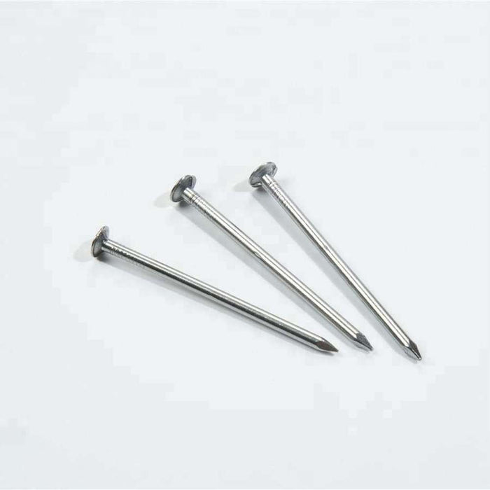 Zenith S/S Decking Screw SQ 10G x 50mm (50pk)