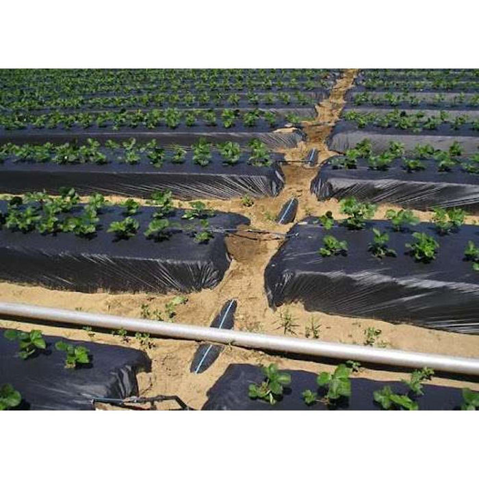 Weeding Mat 1 x 50m