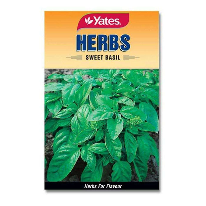 Yates Seeds Herbs Sweet Basil