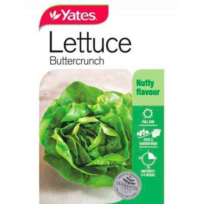 Yates Seeds Lettuce Buttercrunch