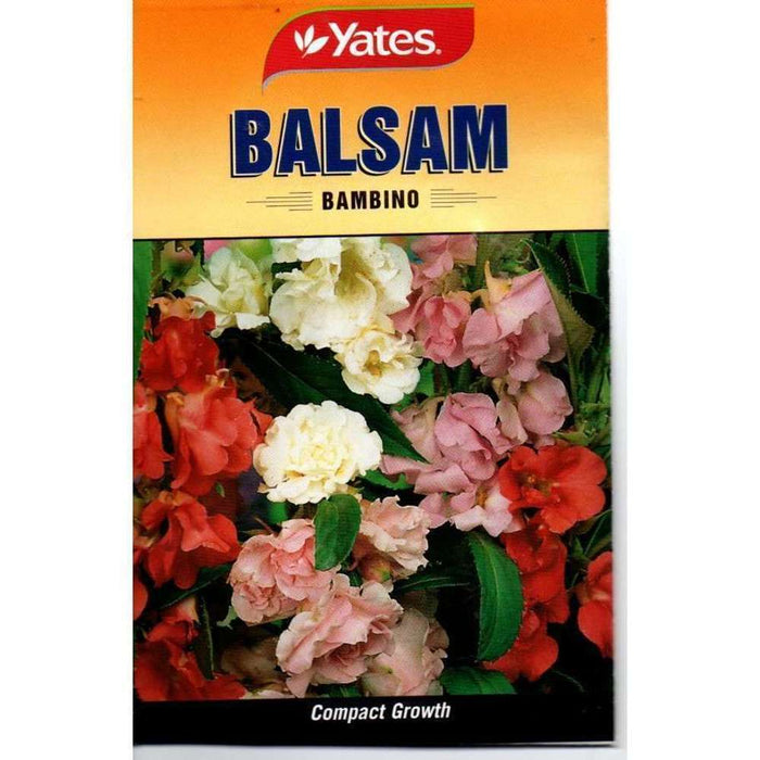 Yates Seeds Balsam Bambino