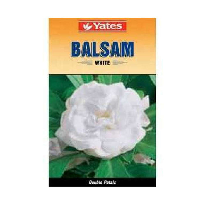 Yates Seeds Balsam White