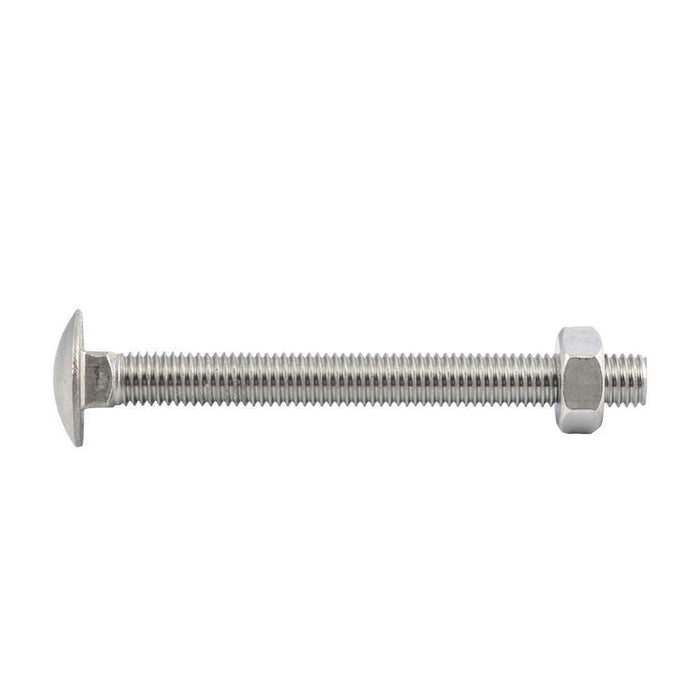 Bolt & Nut S/S Cup M10 x 100