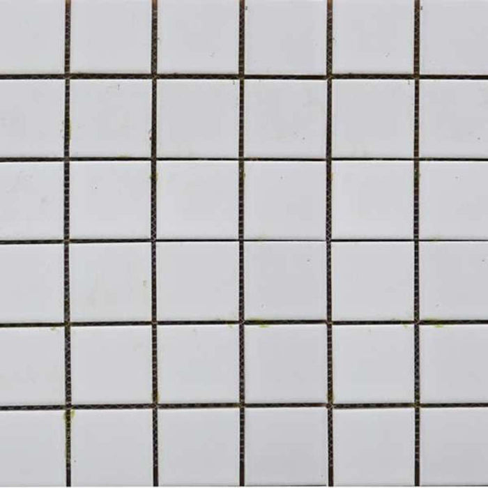 Cera Mosaic Tile 300x300 #4801 Ceramic White (22pc/2sqm Ctn)