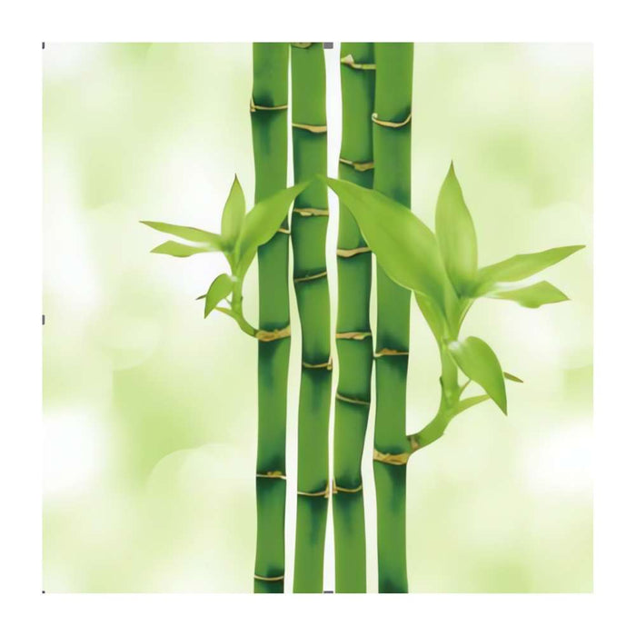 Xini UV Panel 2440 x 1220 x 3mm Single Bamboo Gloss